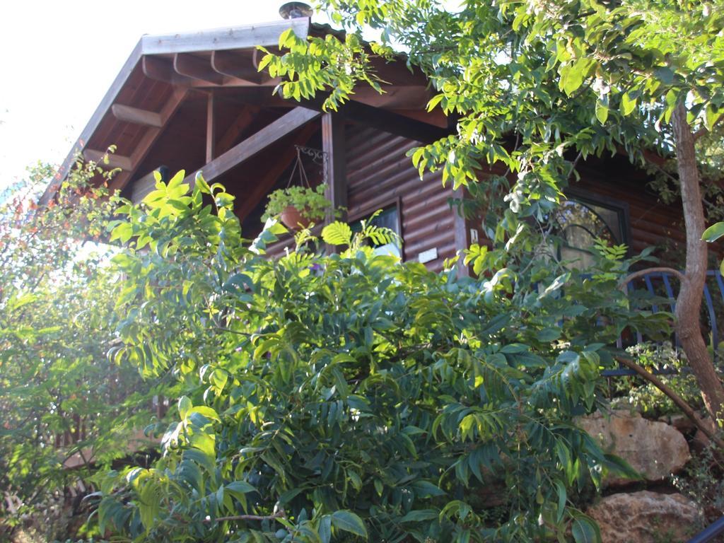 First Light Cabins Amirim Room photo